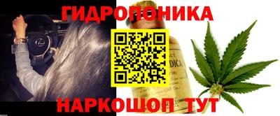 СК Можга