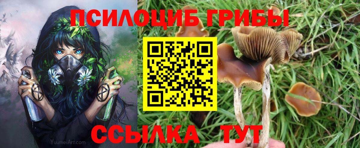Усолье-Сибирское  купить наркотики сайты  Псилоцибиновые грибы мухоморы  Вход с VPN  Псилоцибиновые грибы мицелий 