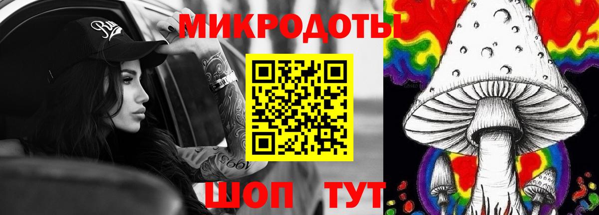 Псилоцибиновые грибы Psilocybe Усолье-Сибирское